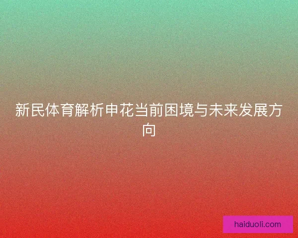 新民体育解析申花当前困境与未来发展方向